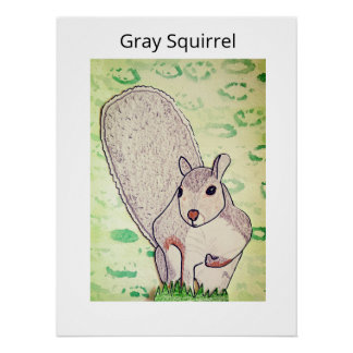 Gray Squirrel Poster