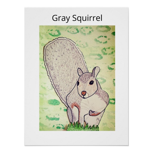 Gray Squirrel  Poster (Front)