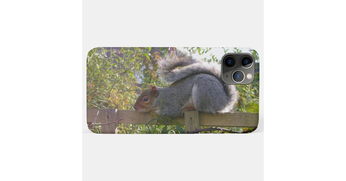 Squirrel Phone gray squirrel resting original wildlife photo Case-Mate iPhone case ...