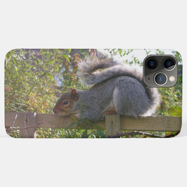 gray squirrel resting original wildlife photo Case-Mate iPhone case (Back (Horizontal))