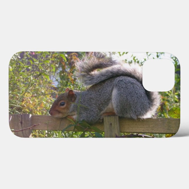 gray squirrel resting original wildlife photo Case-Mate iPhone case (Back (Horizontal))