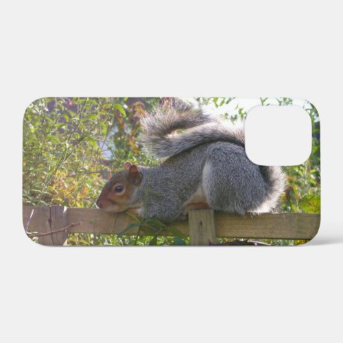 gray squirrel resting original wildlife photo iPhone 12 mini case