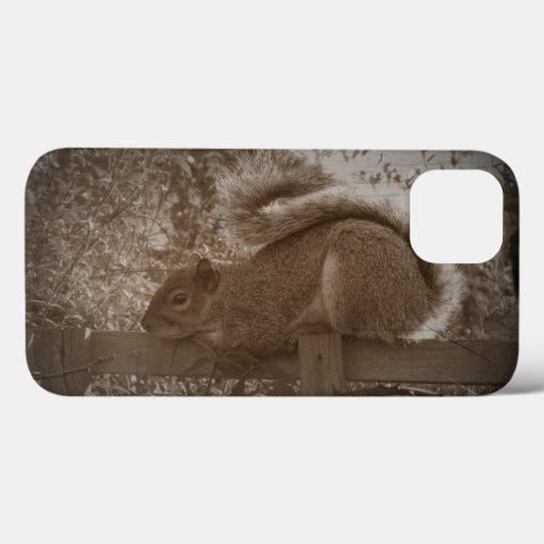 gray squirrel resting sepia garden wildlife photo iPhone 13 case