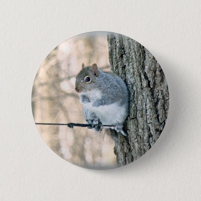 Gray Squirrel - Sciurus carolinensis Button (Front)