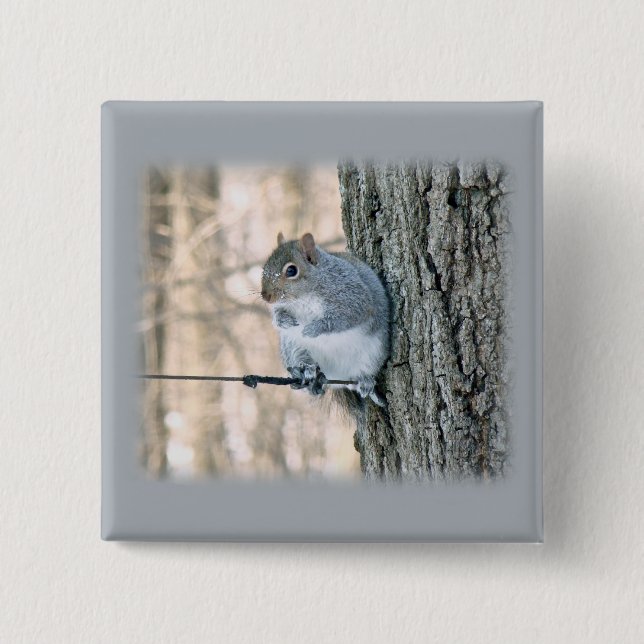 Gray Squirrel - Sciurus carolinensis Button (Front)