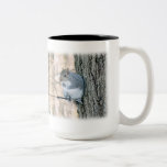 Gray Squirrel - Sciurus Carolinensis Two-tone Coffee Mug at Zazzle