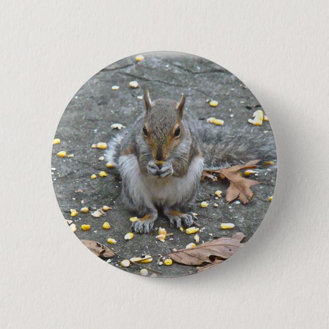 Gray Squirrel Series Pinback Button (Front)