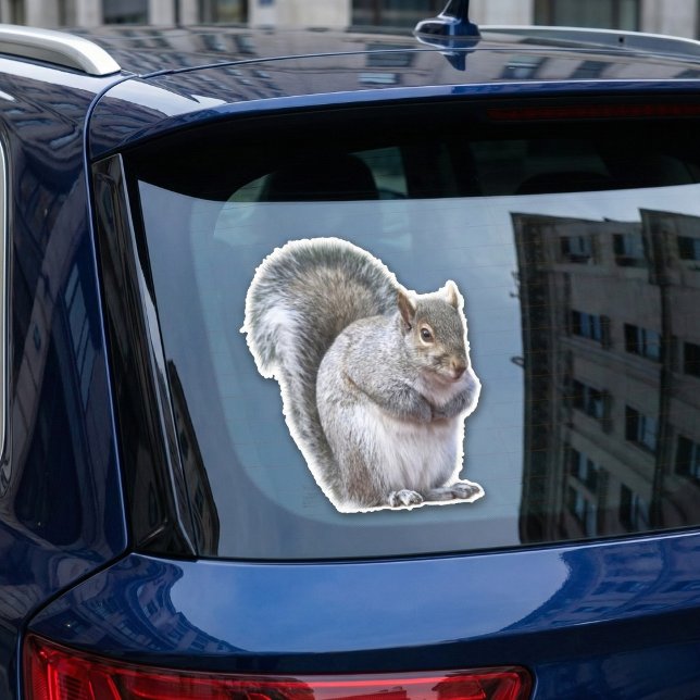Gray Squirrel Sticker (Cuteness overload incoming.)