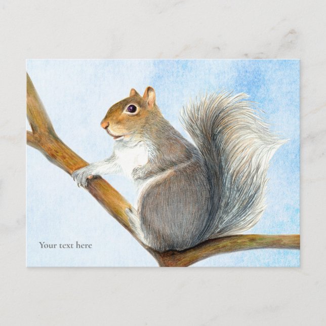 Gray Squirrel Watercolor Painting Postcard (Front)