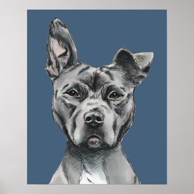 Gray Stalky Pit Bull Dog Drawing Poster (Front)