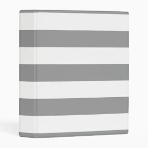 Gray Stripe Mini Binder
