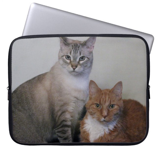 Gray Tabby and Orange Tabby Cats Laptop Sleeve (Front)