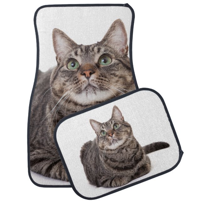 Gray Tabby Cat Car Floor Mat (Set)