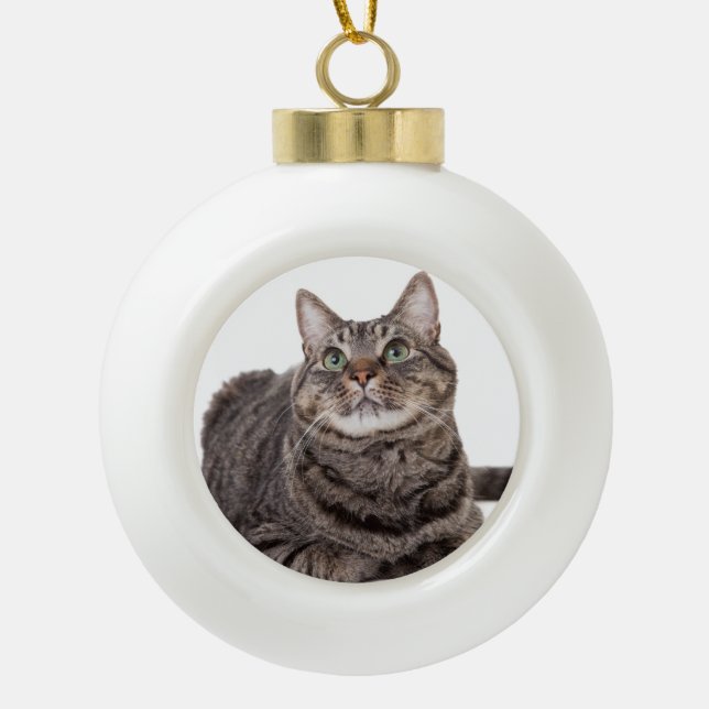 Gray Tabby Cat Ceramic Ball Christmas Ornament (Front)