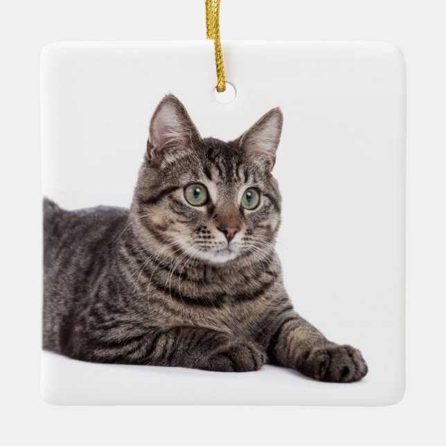 Gray Tabby Cat Ceramic Ornament (Front)