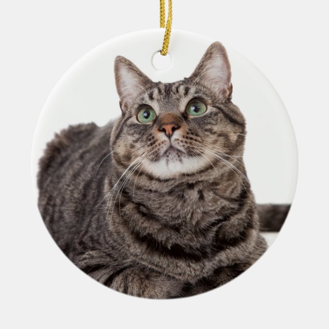 Gray Tabby Cat Ceramic Ornament (Front)