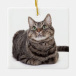 Gray Tabby Cat Ceramic Ornament