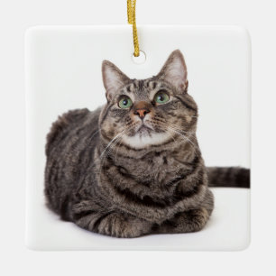 Gray Tabby Cat Ceramic Ornament