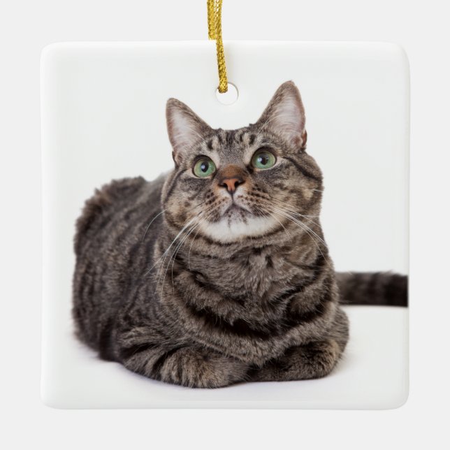 Gray Tabby Cat Ceramic Ornament (Front)