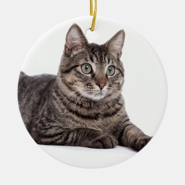 Gray Tabby Cat Ceramic Ornament (Front)