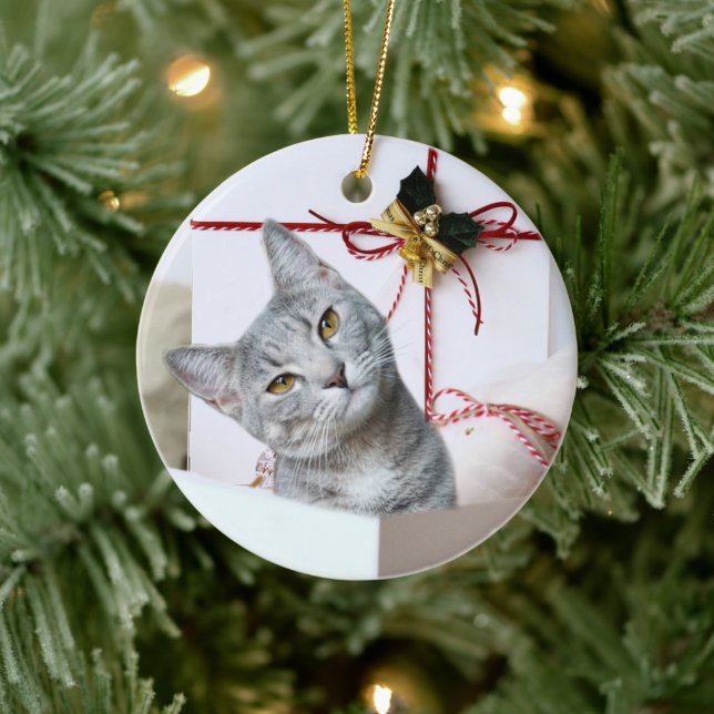 Gray Tabby Cat Christmas Ceramic Ornament (Tree)