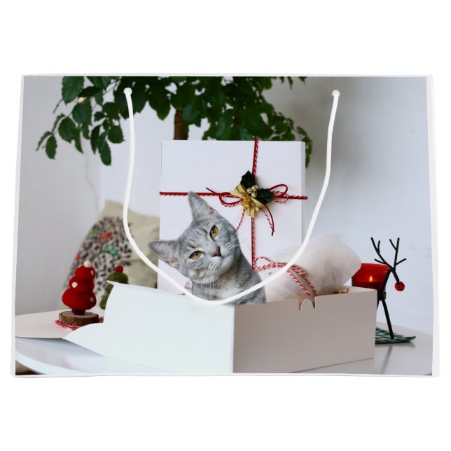 Gray tabby cat Christmas Large Gift Bag (Front)