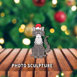 Gray Tabby Cat Christmas Pet Ornament<br><div class="desc">Cute,  fluffy,  gray tabby cat graphic with blue eyes,  wearing a red/white Santa hat for Christmas.



Graphic by:  Lori@SaltTownStudio</div>