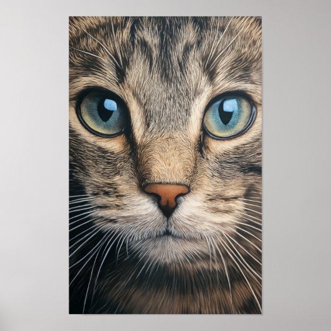 Gray tabby cat closeup poster (Front)