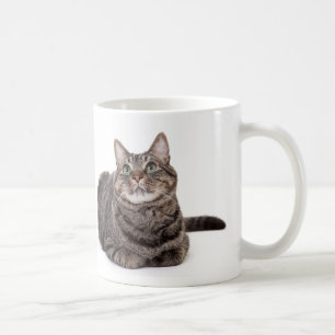 Gray Tabby Cat Coffee Mug