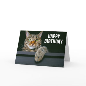 Gray Tabby Cat Face | Happy Birthday Card