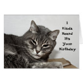 Gray Tabby Cat Funny Birthday (Front Horizontal)