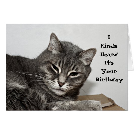 Gray Tabby Cat Funny Birthday (Front Horizontal)