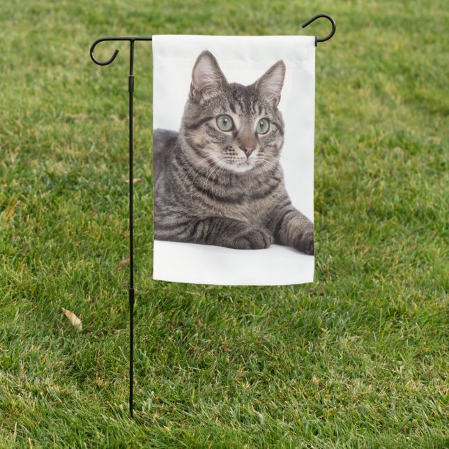 Gray Tabby Cat Garden Flag (In SItu)