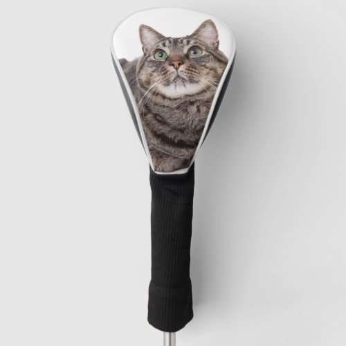 Gray Tabby Cat Golf Head Cover