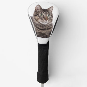 Gray Tabby Cat Golf Head Cover
