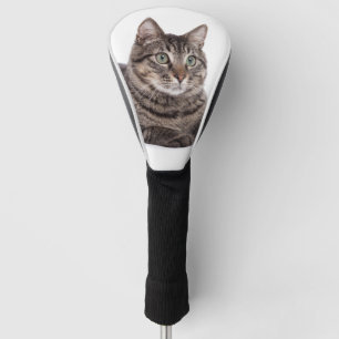 Gray Tabby Cat Golf Head Cover