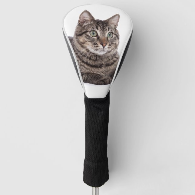 Gray Tabby Cat Golf Head Cover (Front)