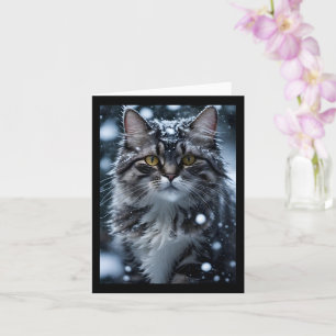 Gray Tabby Cat in Snow Blank Greeting Card