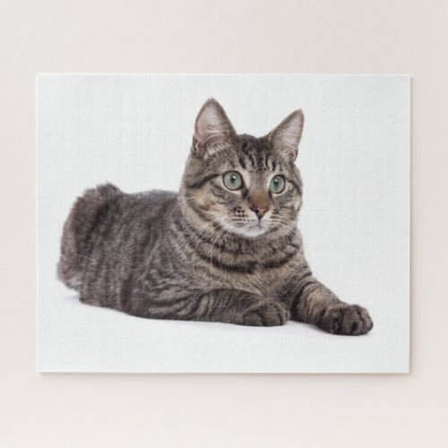 Gray Tabby Cat Jigsaw Puzzle