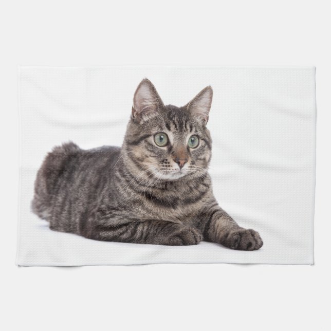 Gray Tabby Cat Kitchen Towel (Horizontal)