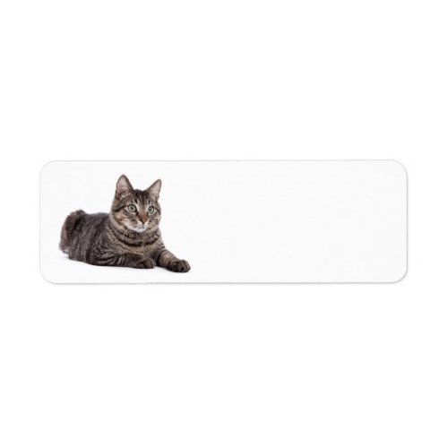 Gray Tabby Cat Label