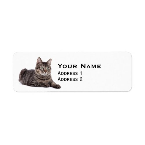 Gray Tabby Cat Label