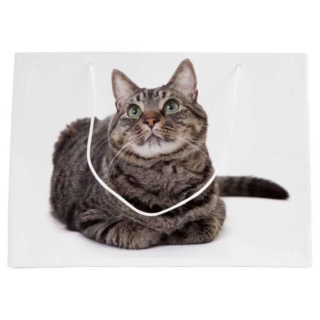 Gray Tabby Cat Large Gift Bag (Front)