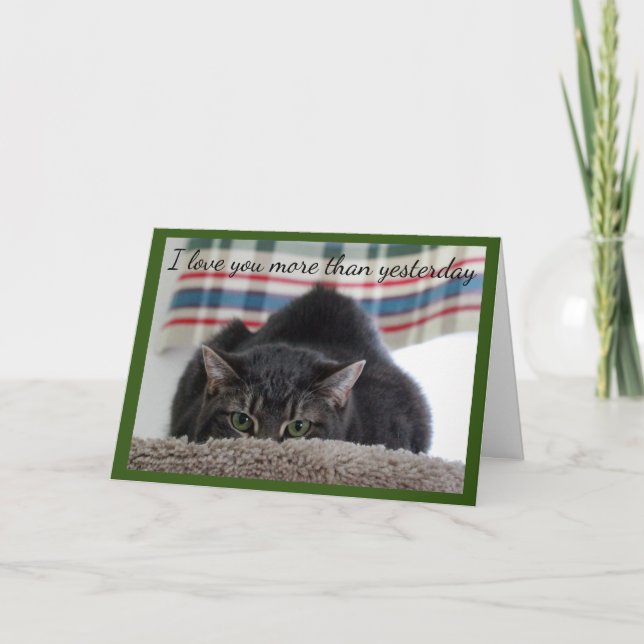 Gray Tabby Cat Loves You Card (Front)