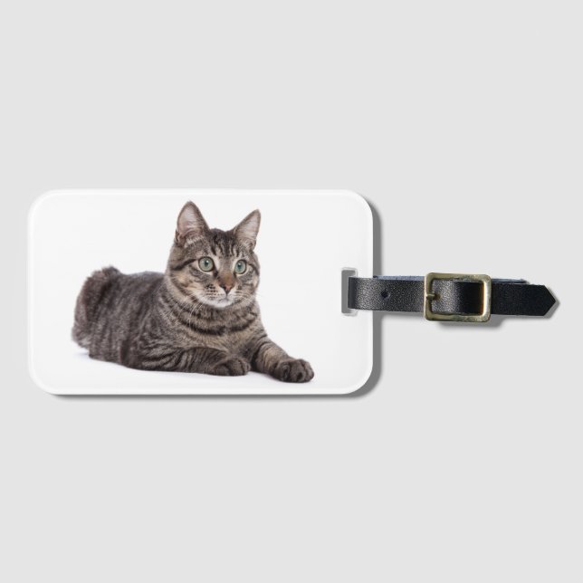 Gray Tabby Cat Luggage Tag (Front Horizontal)