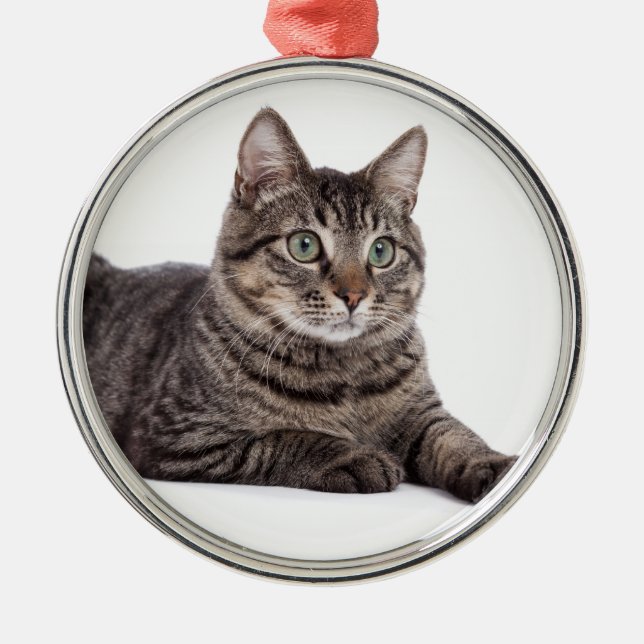 Gray Tabby Cat Metal Ornament (Front)