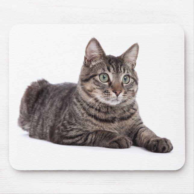 Gray Tabby Cat Mouse Pad (Front)