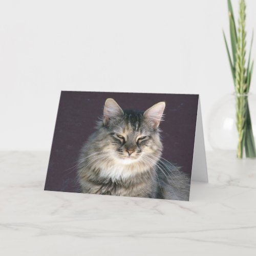 Gray Tabby Cat Note Card