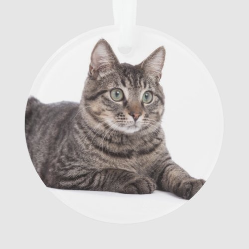 Gray Tabby Cat Ornament