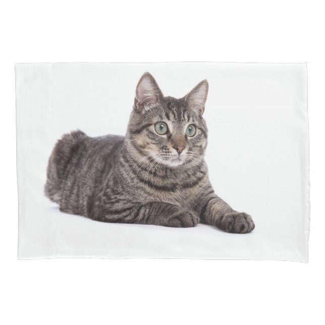 Gray Tabby Cat Pillow Case (Front)